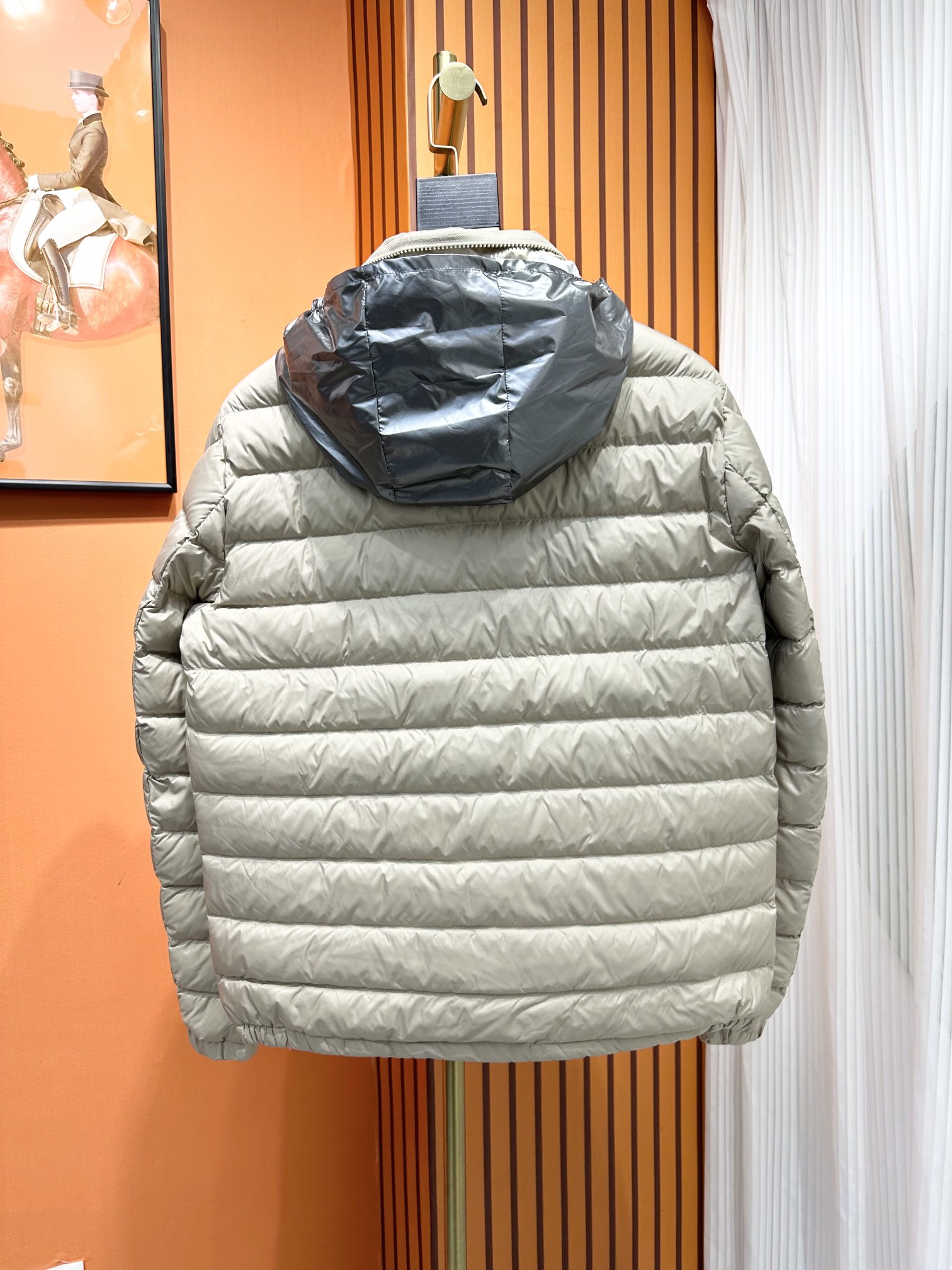 Moncler Down Jackets